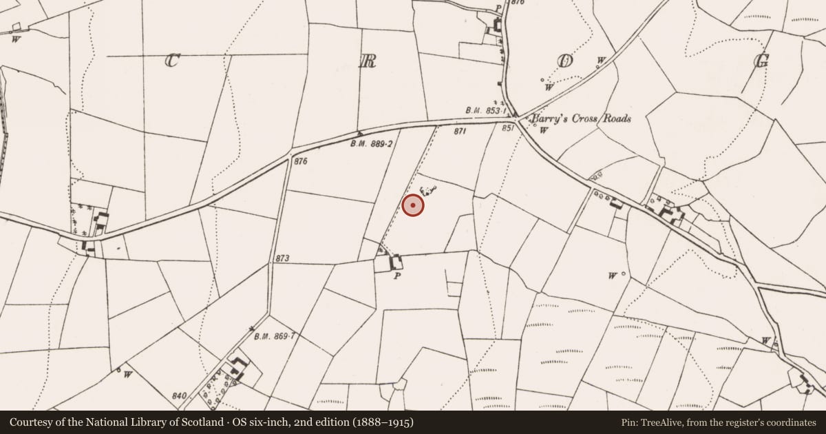 Ordnance Survey six-inch map, 2nd edition (1888–1915) covering the location of Fulacht fia, Croghtenclogh, County Kilkenny, with a pin at the register's coordinates