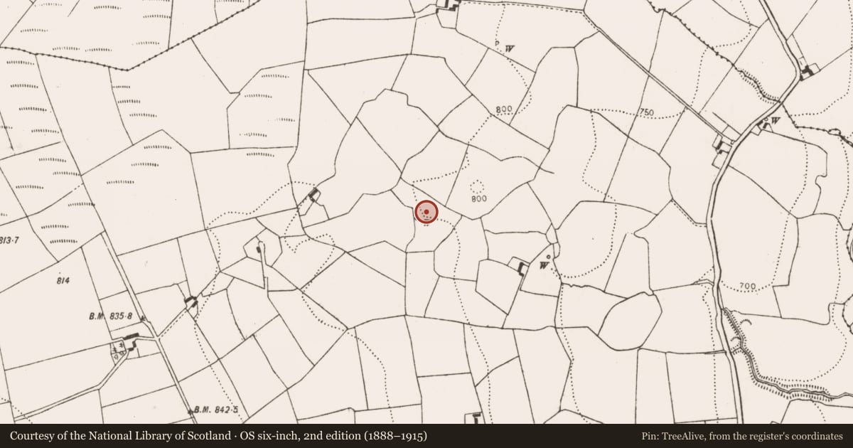 Ordnance Survey six-inch map, 2nd edition (1888–1915) covering the location of Fulacht fia, Coan West, County Kilkenny, with a pin at the register's coordinates