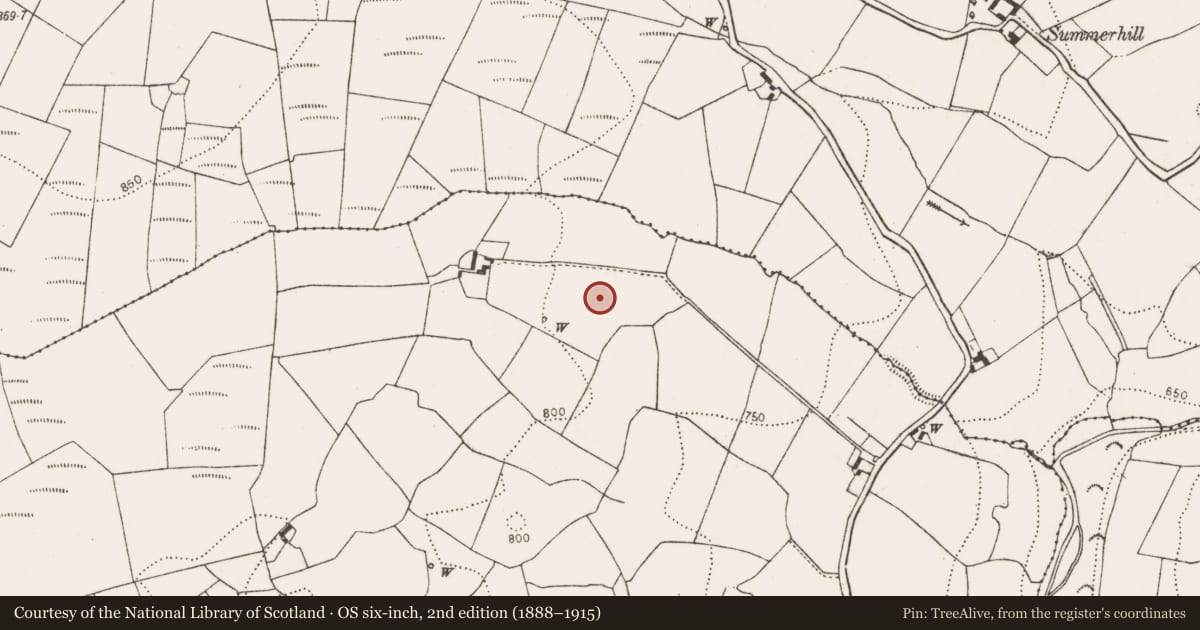 Ordnance Survey six-inch map, 2nd edition (1888–1915) covering the location of Fulacht fia, Coan West, County Kilkenny, with a pin at the register's coordinates
