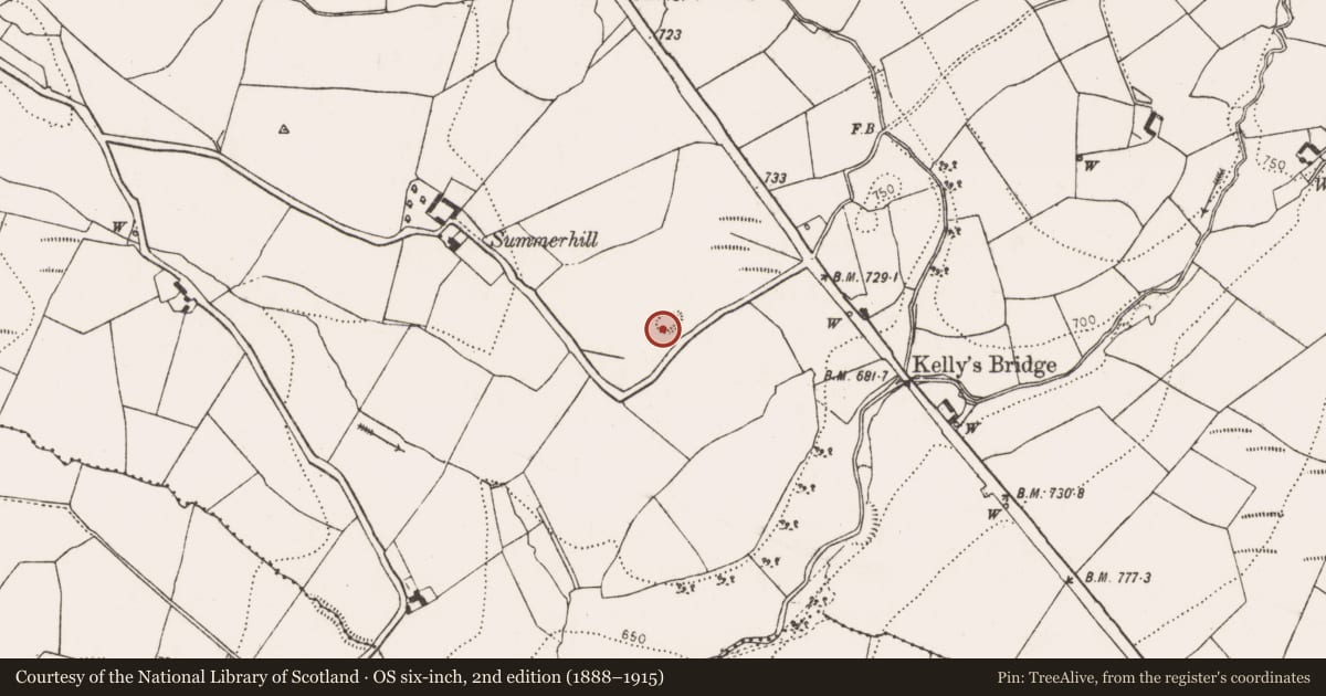 Ordnance Survey six-inch map, 2nd edition (1888–1915) covering the location of Ringfort - rath, Croghtenclogh, County Kilkenny, with a pin at the register's coordinates