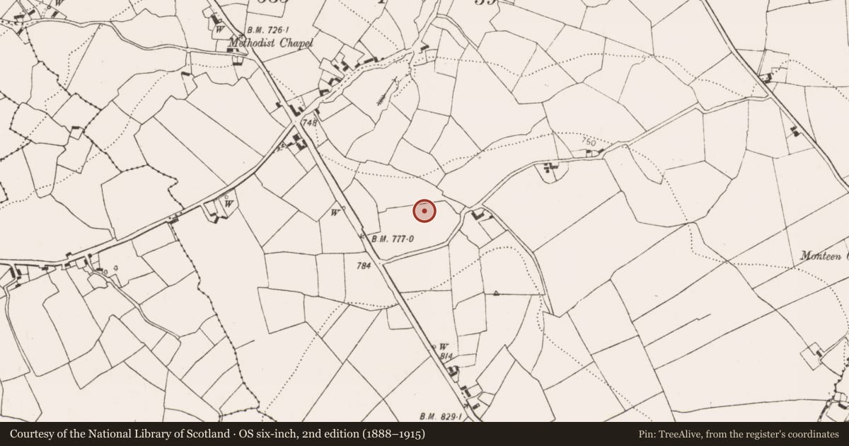 Ordnance Survey six-inch map, 2nd edition (1888–1915) covering the location of Burnt spread, Gorteen, County Kilkenny, with a pin at the register's coordinates