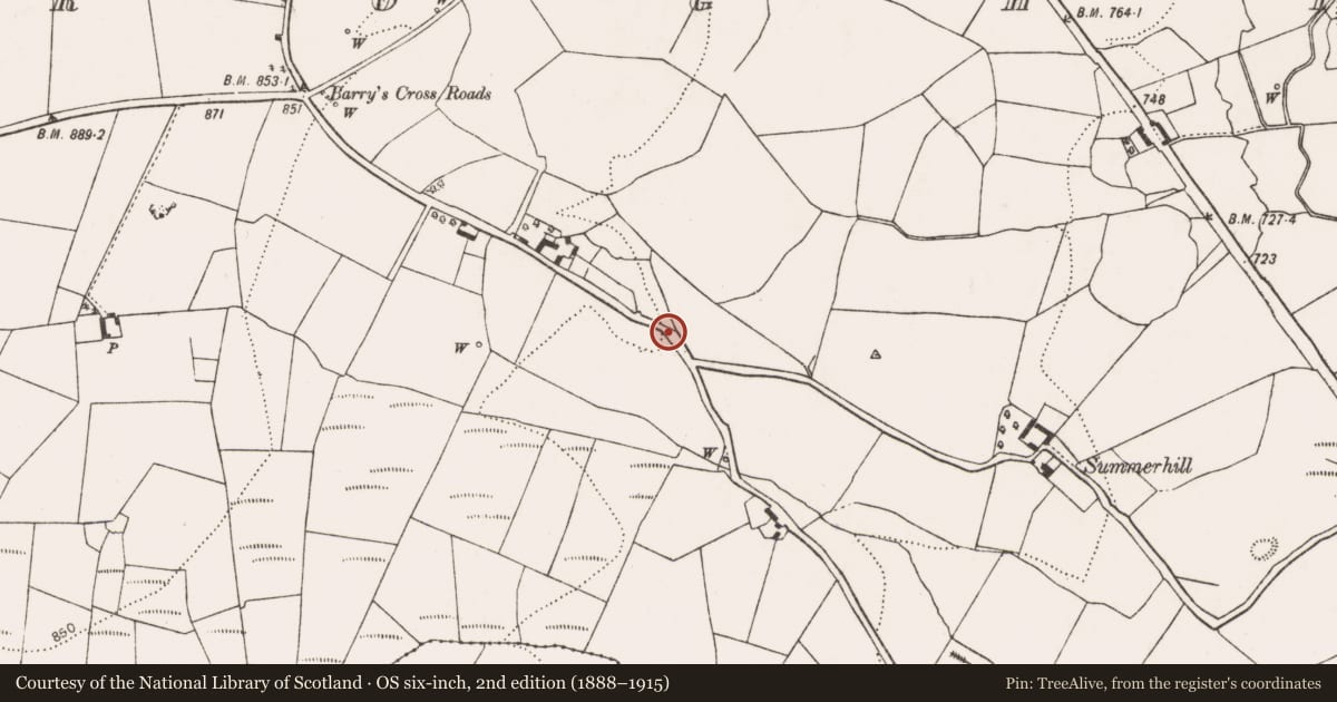Ordnance Survey six-inch map, 2nd edition (1888–1915) covering the location of Burnt mound, Croghtenclogh, County Kilkenny, with a pin at the register's coordinates