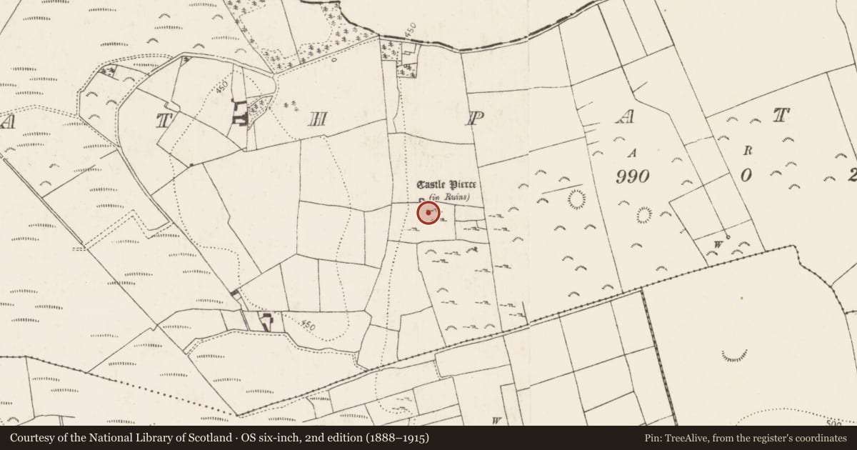Ordnance Survey six-inch map, 2nd edition (1888–1915) covering the location of Enclosure, Rathpatrick, County Kilkenny, with a pin at the register's coordinates