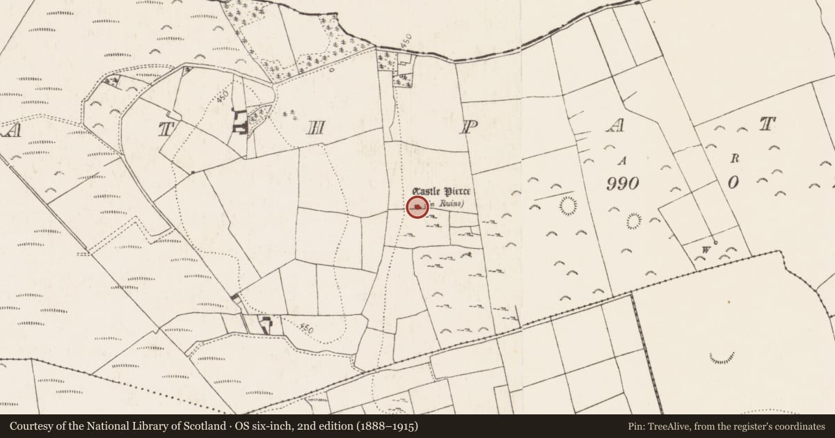 Ordnance Survey six-inch map, 2nd edition (1888–1915) covering the location of Bawn, Rathpatrick, County Kilkenny, with a pin at the register's coordinates