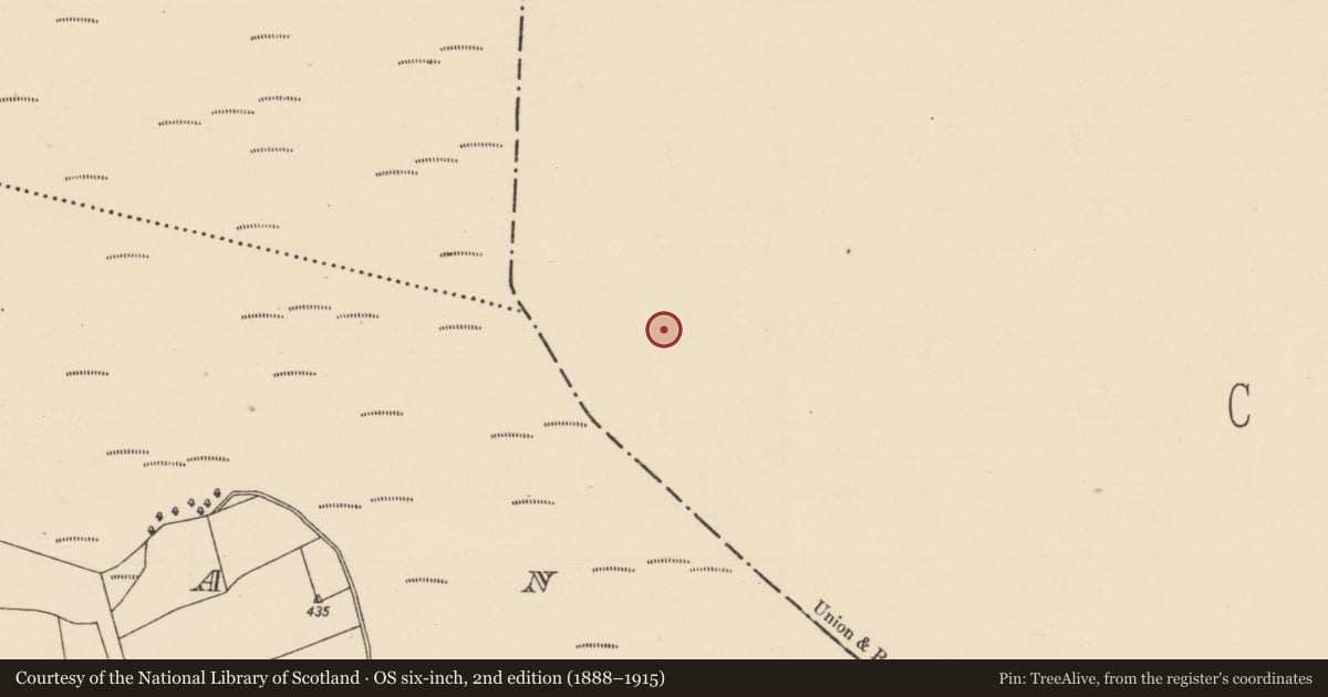 Ordnance Survey six-inch map, 2nd edition (1888–1915) covering the location of Platform - peatland, Baunmore, County Kilkenny, with a pin at the register's coordinates