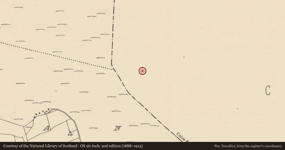 Ordnance Survey six-inch map, 2nd edition (1888–1915) covering the location of Platform - peatland, Baunmore, County Kilkenny, with a pin at the register's coordinates