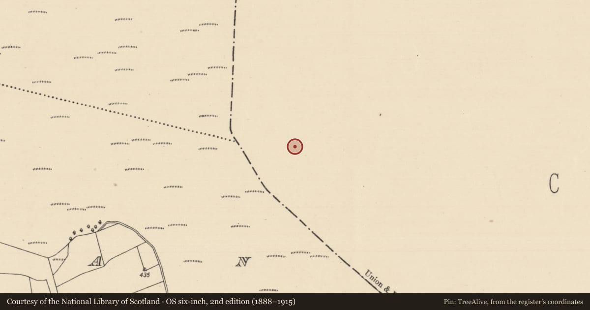Ordnance Survey six-inch map, 2nd edition (1888–1915) covering the location of Road - class 2 togher, Baunmore, County Kilkenny, with a pin at the register's coordinates