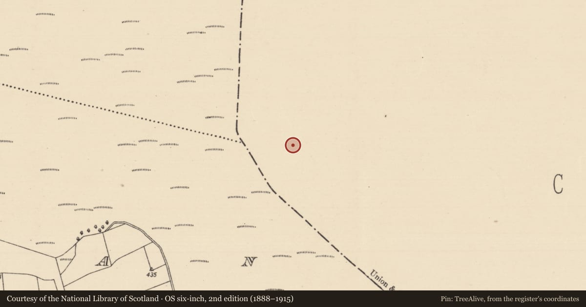 Ordnance Survey six-inch map, 2nd edition (1888–1915) covering the location of Structure - peatland, Baunmore, County Kilkenny, with a pin at the register's coordinates