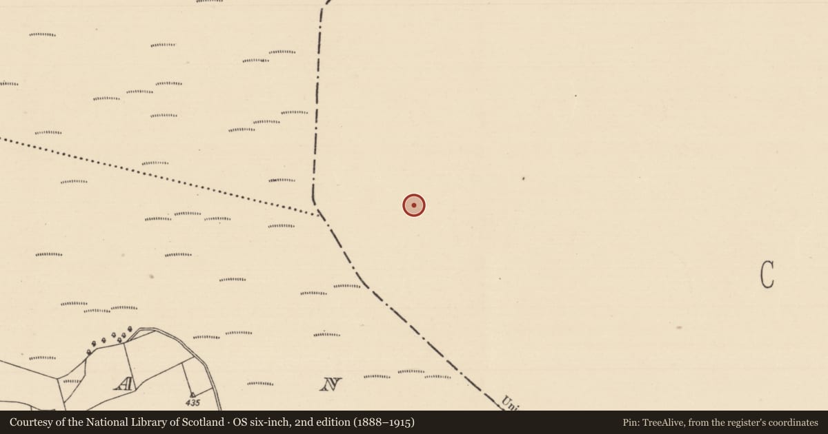 Ordnance Survey six-inch map, 2nd edition (1888–1915) covering the location of Structure - peatland, Baunmore, County Kilkenny, with a pin at the register's coordinates