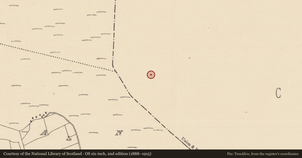 Ordnance Survey six-inch map, 2nd edition (1888–1915) covering the location of Structure - peatland, Baunmore, County Kilkenny, with a pin at the register's coordinates