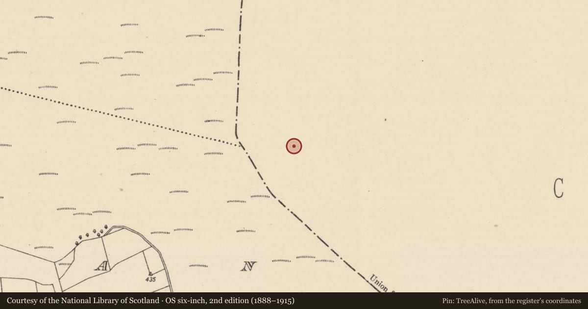 Ordnance Survey six-inch map, 2nd edition (1888–1915) covering the location of Structure - peatland, Baunmore, County Kilkenny, with a pin at the register's coordinates