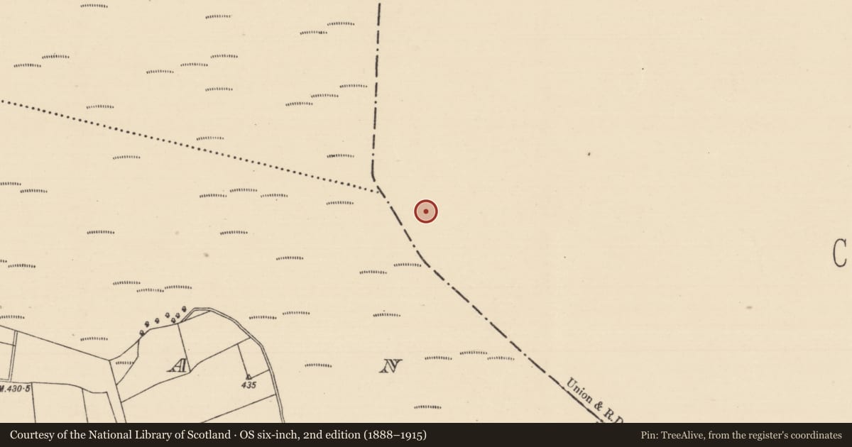 Ordnance Survey six-inch map, 2nd edition (1888–1915) covering the location of Road - class 3 togher, Baunmore, County Kilkenny, with a pin at the register's coordinates