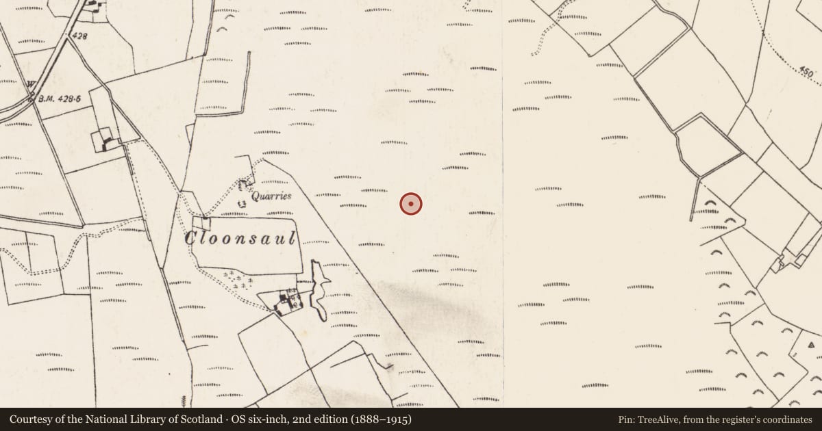 Ordnance Survey six-inch map, 2nd edition (1888–1915) covering the location of Road - class 3 togher, Baunmore, County Kilkenny, with a pin at the register's coordinates
