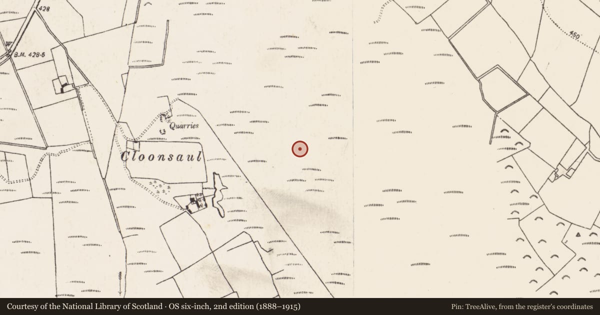 Ordnance Survey six-inch map, 2nd edition (1888–1915) covering the location of Structure - peatland, Baunmore, County Kilkenny, with a pin at the register's coordinates