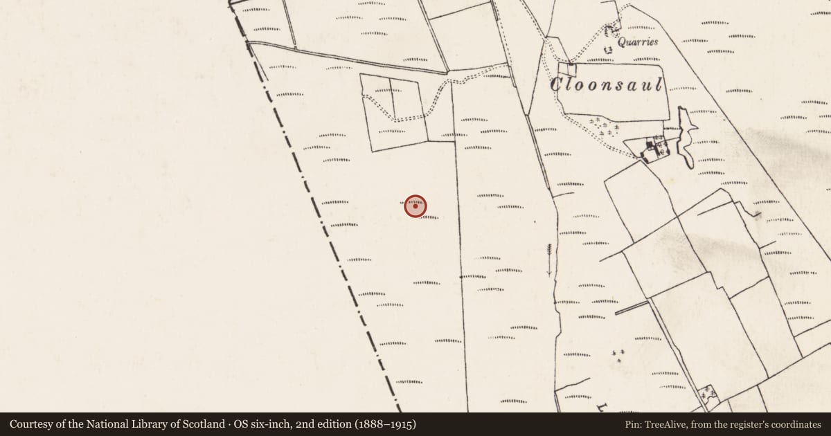 Ordnance Survey six-inch map, 2nd edition (1888–1915) covering the location of Road - class 3 togher, Baunmore, County Kilkenny, with a pin at the register's coordinates