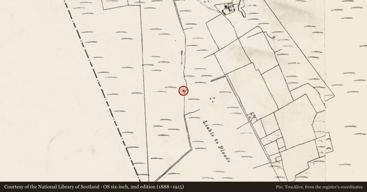 Ordnance Survey six-inch map, 2nd edition (1888–1915) covering the location of Road - class 3 togher, Baunmore, County Kilkenny, with a pin at the register's coordinates