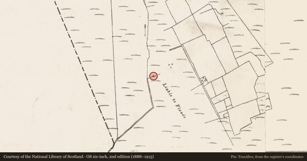 Ordnance Survey six-inch map, 2nd edition (1888–1915) covering the location of Road - class 3 togher, Baunmore, County Kilkenny, with a pin at the register's coordinates
