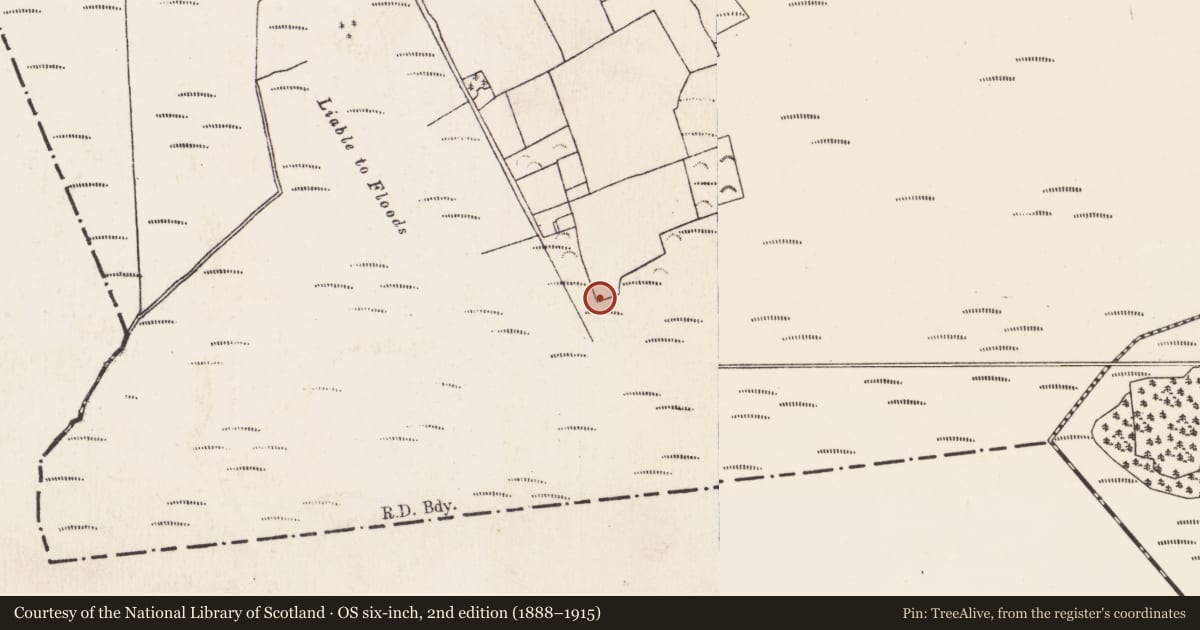 Ordnance Survey six-inch map, 2nd edition (1888–1915) covering the location of Fulacht fia, Baunmore, County Kilkenny, with a pin at the register's coordinates