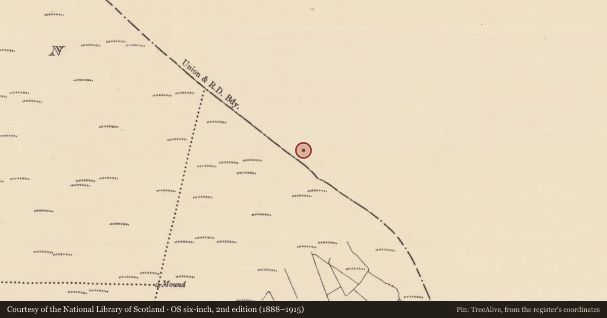 Ordnance Survey six-inch map, 2nd edition (1888–1915) covering the location of Structure - peatland, Baunmore, County Kilkenny, with a pin at the register's coordinates