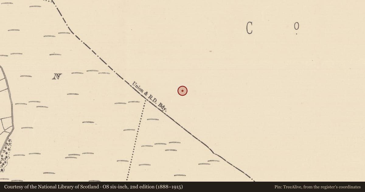 Ordnance Survey six-inch map, 2nd edition (1888–1915) covering the location of Road - class 3 togher, Baunmore, County Kilkenny, with a pin at the register's coordinates