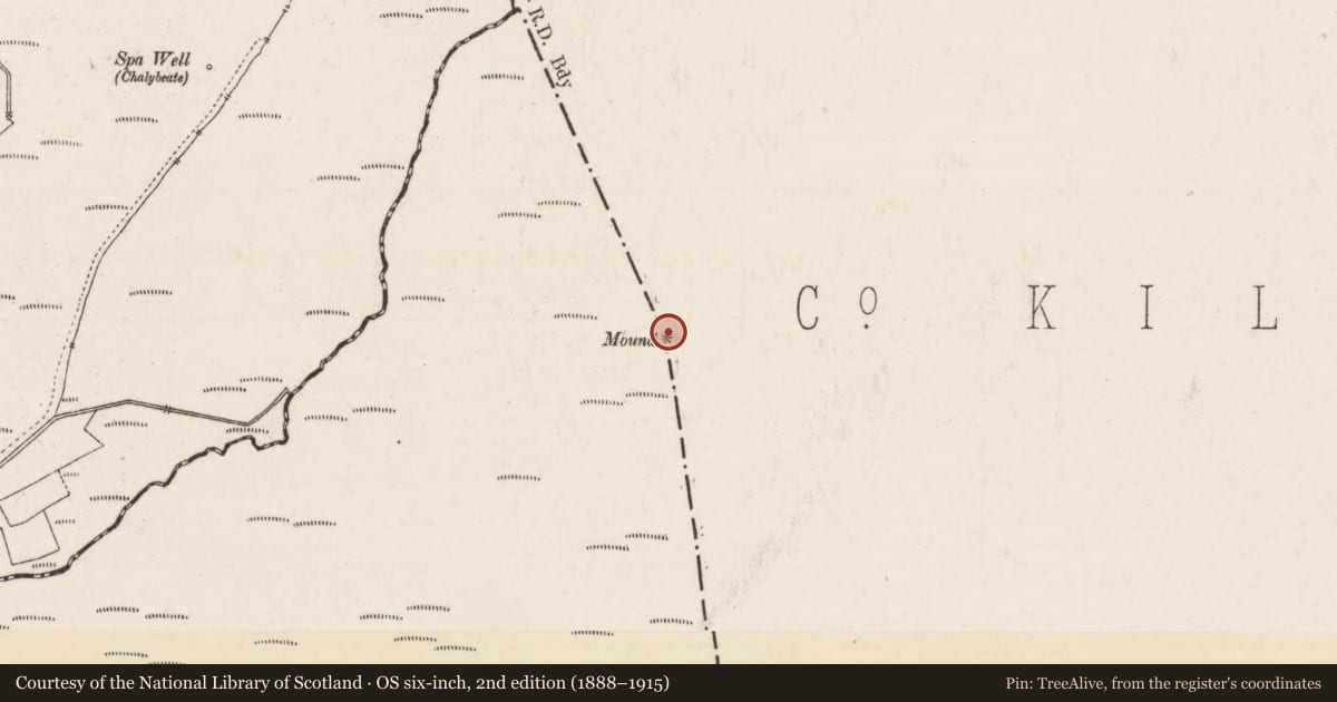 Ordnance Survey six-inch map, 2nd edition (1888–1915) covering the location of Boundary mound, Bruckana, County Kilkenny, with a pin at the register's coordinates