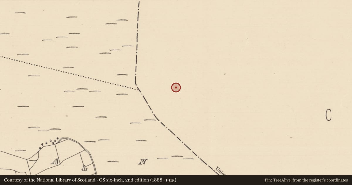 Ordnance Survey six-inch map, 2nd edition (1888–1915) covering the location of Road - class 1 togher, Baunmore, County Kilkenny, with a pin at the register's coordinates