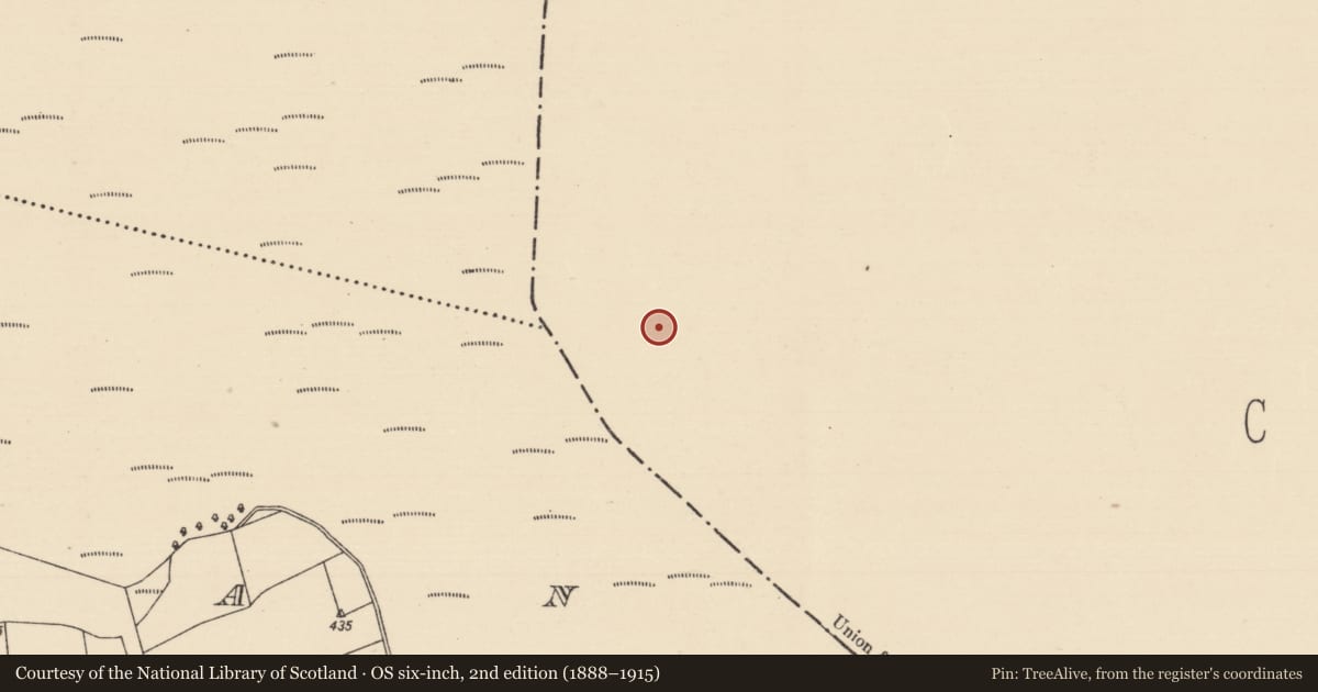 Ordnance Survey six-inch map, 2nd edition (1888–1915) covering the location of Road - class 3 togher, Baunmore, County Kilkenny, with a pin at the register's coordinates