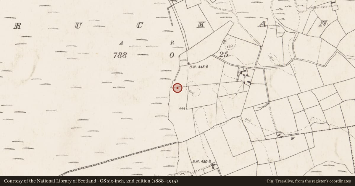 Ordnance Survey six-inch map, 2nd edition (1888–1915) covering the location of Burnt mound, Bruckana, County Kilkenny, with a pin at the register's coordinates
