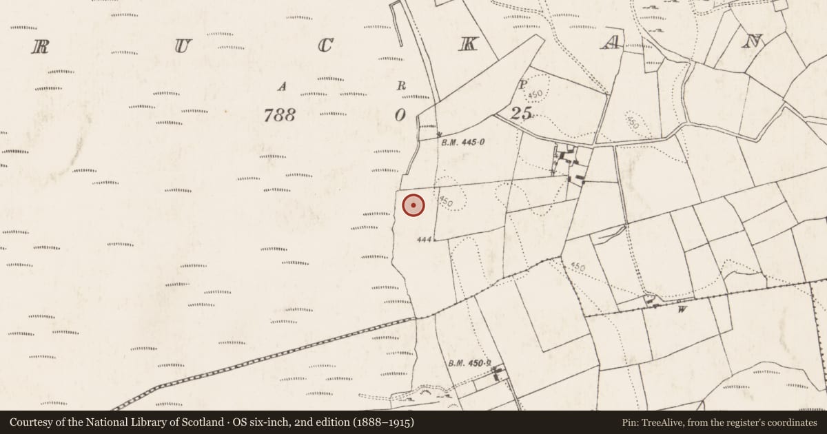 Ordnance Survey six-inch map, 2nd edition (1888–1915) covering the location of Burnt mound, Bruckana, County Kilkenny, with a pin at the register's coordinates