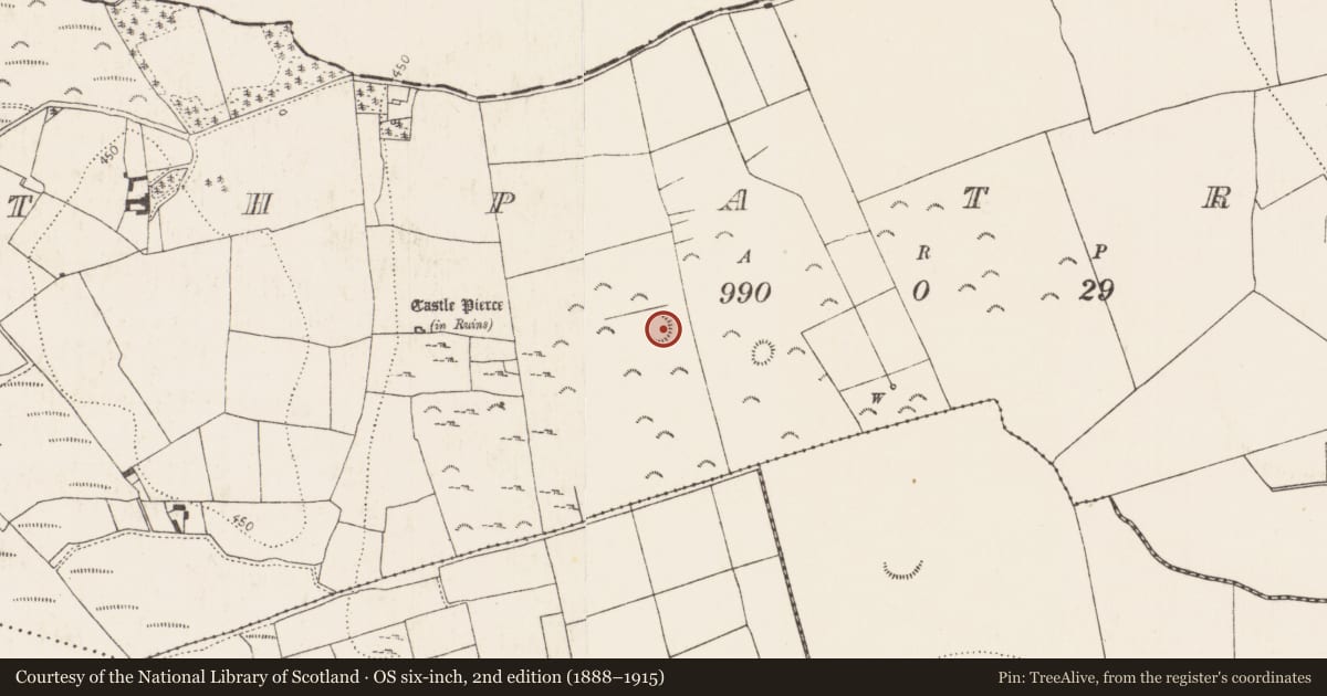Ordnance Survey six-inch map, 2nd edition (1888–1915) covering the location of Barrow - stepped barrow, Rathpatrick, County Kilkenny, with a pin at the register's coordinates