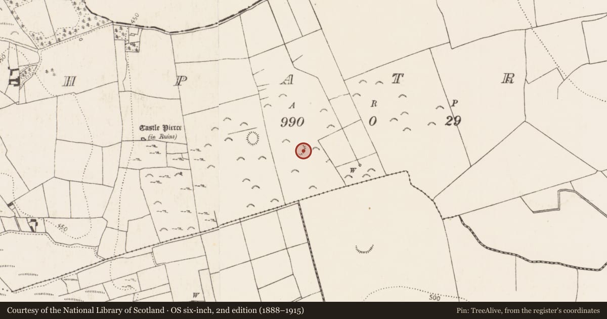 Ordnance Survey six-inch map, 2nd edition (1888–1915) covering the location of Ringfort - rath, Rathpatrick, County Kilkenny, with a pin at the register's coordinates
