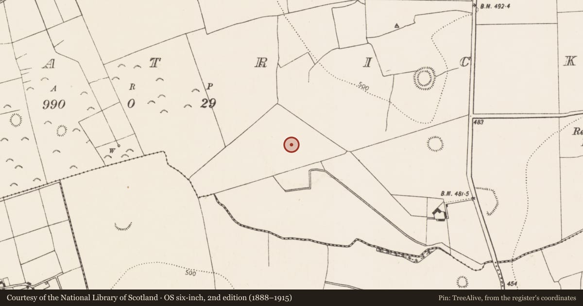 Ordnance Survey six-inch map, 2nd edition (1888–1915) covering the location of Ringfort - rath, Rathpatrick, County Kilkenny, with a pin at the register's coordinates