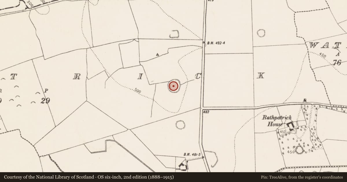 Ordnance Survey six-inch map, 2nd edition (1888–1915) covering the location of Ringfort - rath, Rathpatrick, County Kilkenny, with a pin at the register's coordinates