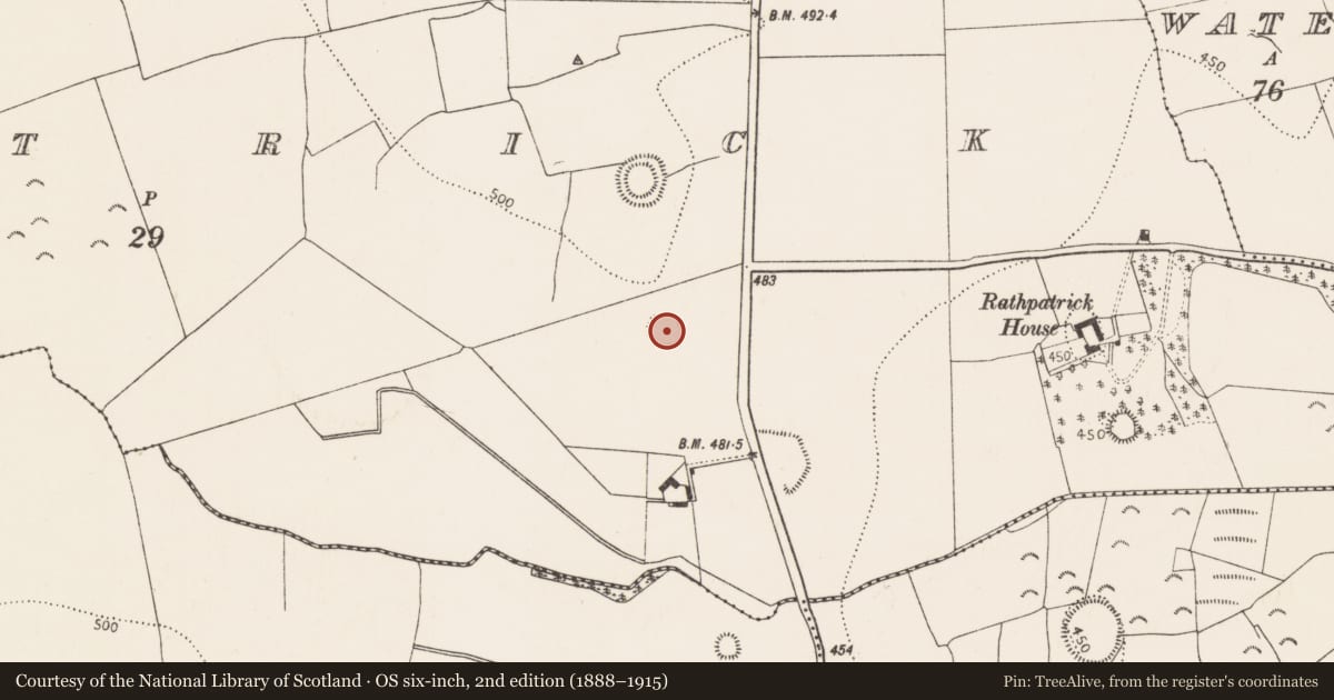 Ordnance Survey six-inch map, 2nd edition (1888–1915) covering the location of Ringfort - rath, Rathpatrick, County Kilkenny, with a pin at the register's coordinates