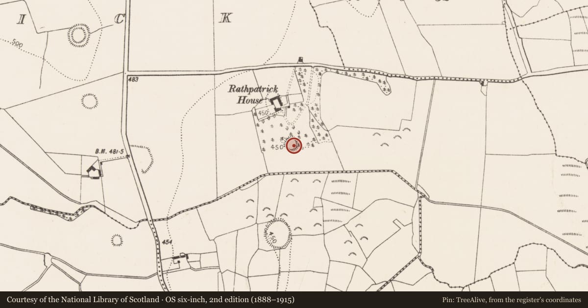 Ordnance Survey six-inch map, 2nd edition (1888–1915) covering the location of Ringfort - rath, Rathpatrick, County Kilkenny, with a pin at the register's coordinates