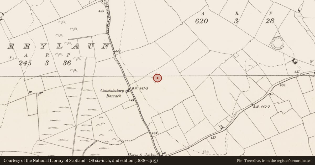 Ordnance Survey six-inch map, 2nd edition (1888–1915) covering the location of Ringfort - rath, Rathreagh, County Kilkenny, with a pin at the register's coordinates