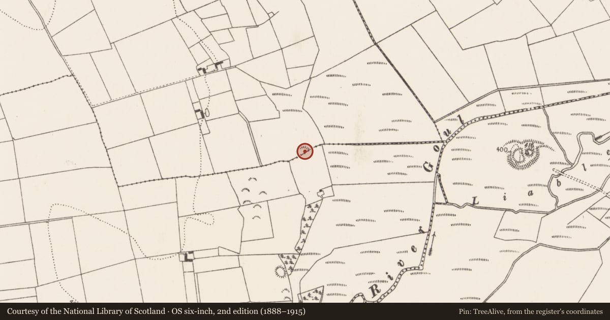 Ordnance Survey six-inch map, 2nd edition (1888–1915) covering the location of Ringfort - rath, Baunballinlough, County Kilkenny, with a pin at the register's coordinates