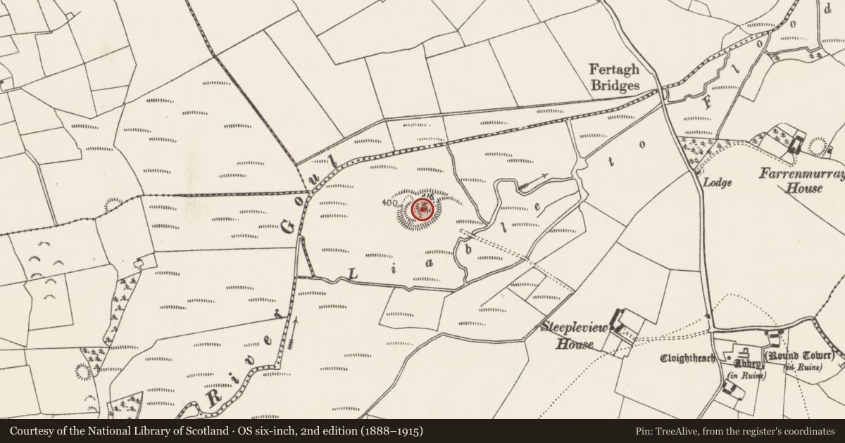 Ordnance Survey six-inch map, 2nd edition (1888–1915) covering the location of Castle - motte and bailey, Grangefertagh, County Kilkenny, with a pin at the register's coordinates