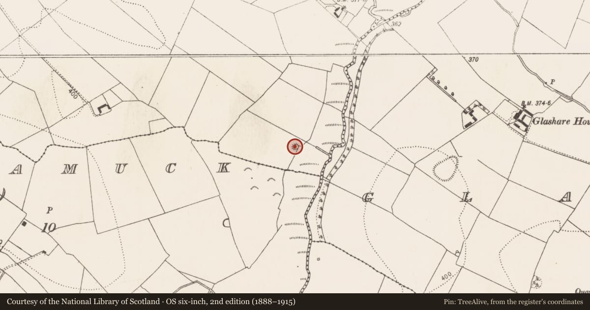 Ordnance Survey six-inch map, 2nd edition (1888–1915) covering the location of Barrow - mound barrow, Cooloultha Or Moneynamuck, County Kilkenny, with a pin at the register's coordinates
