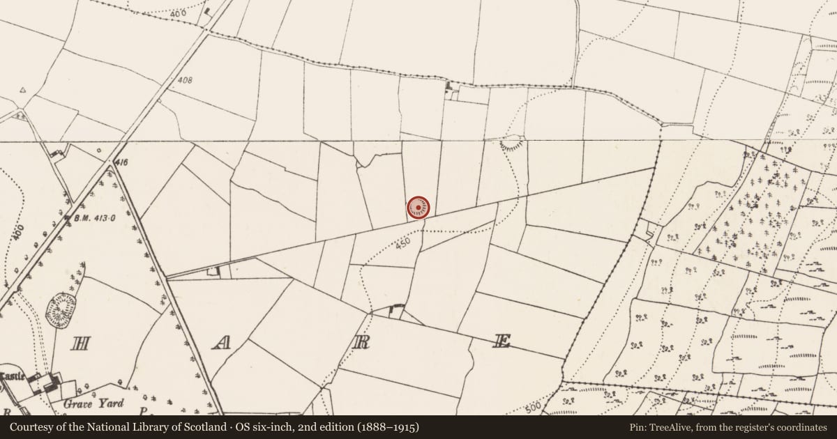 Ordnance Survey six-inch map, 2nd edition (1888–1915) covering the location of Ringfort - rath, Glashare, County Kilkenny, with a pin at the register's coordinates