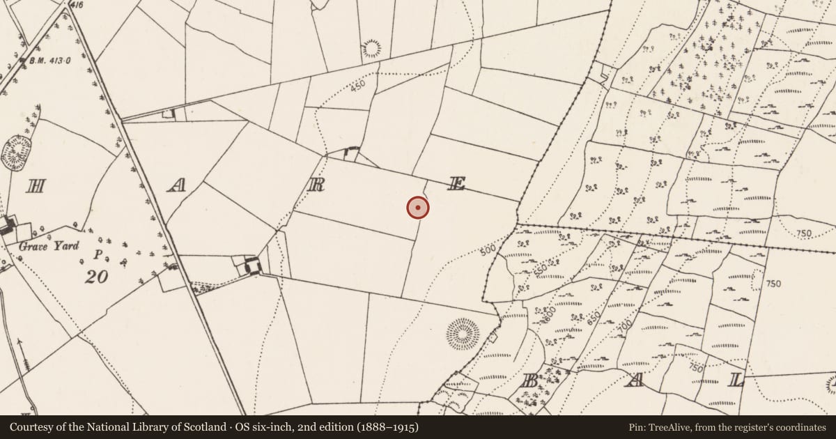 Ordnance Survey six-inch map, 2nd edition (1888–1915) covering the location of Enclosure, Glashare, County Kilkenny, with a pin at the register's coordinates