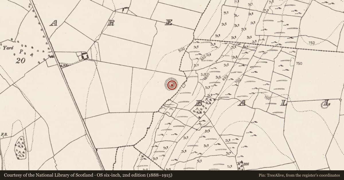Ordnance Survey six-inch map, 2nd edition (1888–1915) covering the location of Ringfort - unclassified, Glashare, County Kilkenny, with a pin at the register's coordinates