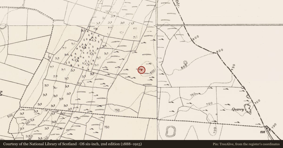 Ordnance Survey six-inch map, 2nd edition (1888–1915) covering the location of Field system, Coolnacrutta, County Kilkenny, with a pin at the register's coordinates