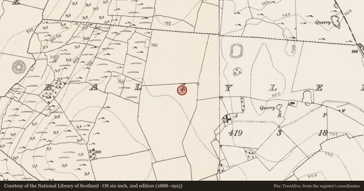 Ordnance Survey six-inch map, 2nd edition (1888–1915) covering the location of Ringfort - rath, Ballylehaun, County Kilkenny, with a pin at the register's coordinates