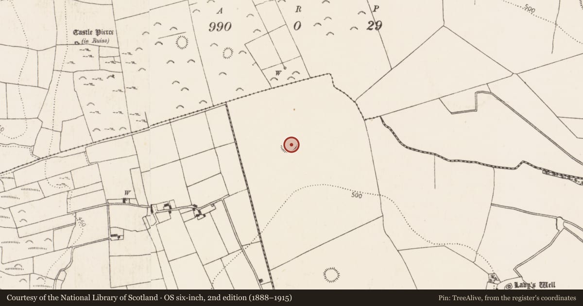 Ordnance Survey six-inch map, 2nd edition (1888–1915) covering the location of Enclosure, Bayswell, County Kilkenny, with a pin at the register's coordinates