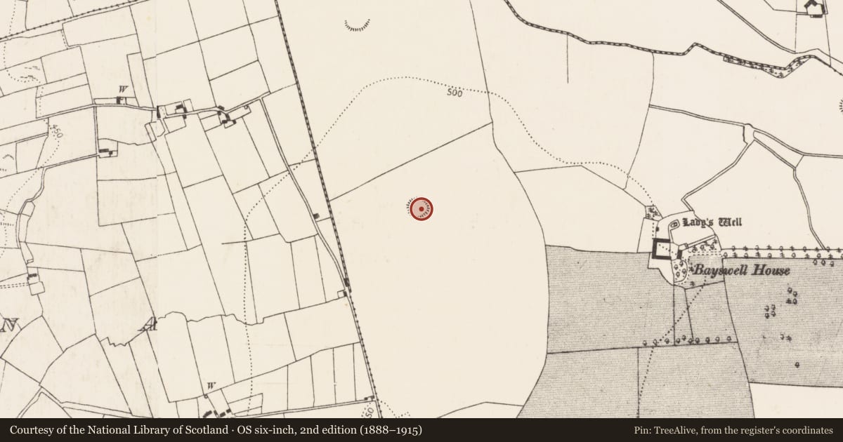 Ordnance Survey six-inch map, 2nd edition (1888–1915) covering the location of Ringfort - rath, Bayswell, County Kilkenny, with a pin at the register's coordinates