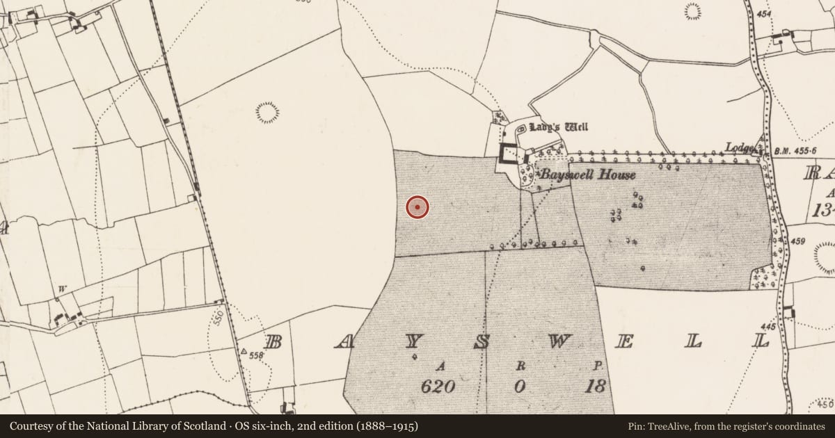 Ordnance Survey six-inch map, 2nd edition (1888–1915) covering the location of Enclosure, Bayswell, County Kilkenny, with a pin at the register's coordinates