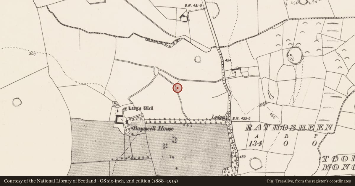 Ordnance Survey six-inch map, 2nd edition (1888–1915) covering the location of Enclosure, Bayswell, County Kilkenny, with a pin at the register's coordinates