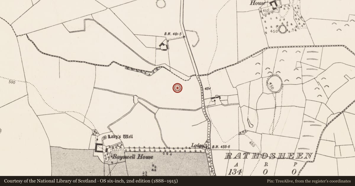 Ordnance Survey six-inch map, 2nd edition (1888–1915) covering the location of Ringfort - rath, Bayswell, County Kilkenny, with a pin at the register's coordinates