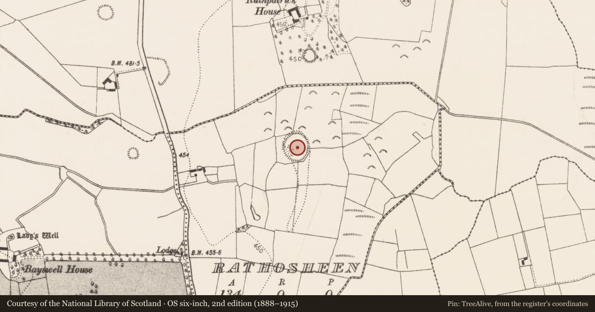 Ordnance Survey six-inch map, 2nd edition (1888–1915) covering the location of Ringfort - rath, Rathosheen, County Kilkenny, with a pin at the register's coordinates